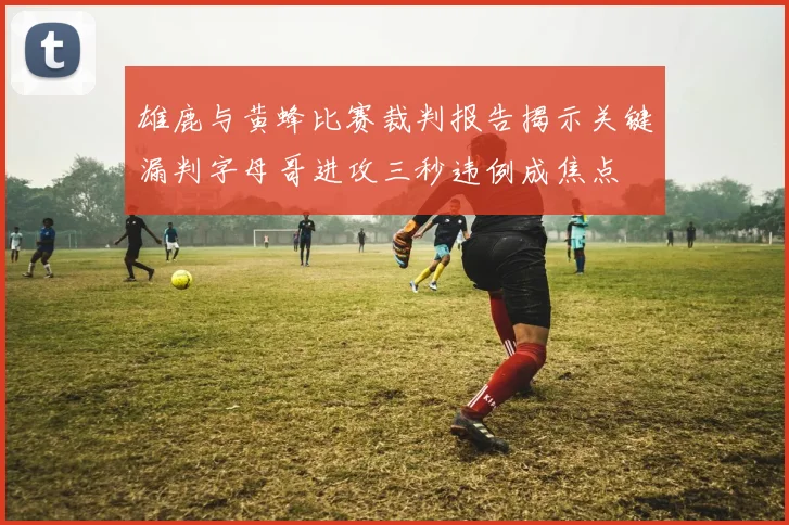 雄鹿与黄蜂比赛裁判报告揭示关键漏判字母哥进攻三秒违例成焦点