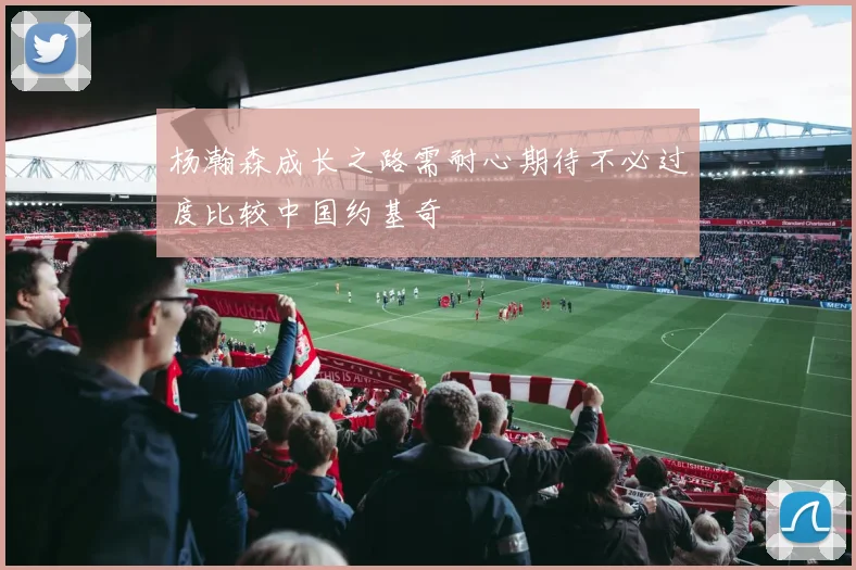 杨瀚森成长之路需耐心期待不必过度比较中国约基奇