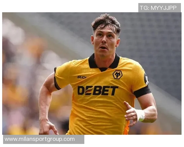 那不勒斯夏季转会目标博尼奥西利奥将发挥关键作用